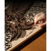 Hand finishing layered wood decorations produced with an xTool P3 laser by lifting tiny cut pieces